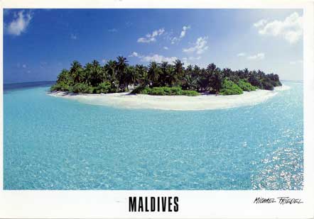 maldive_d.jpg