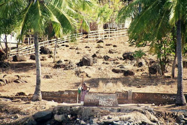 Pulau Pura