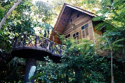 Casa sull'albero a Khao Soh