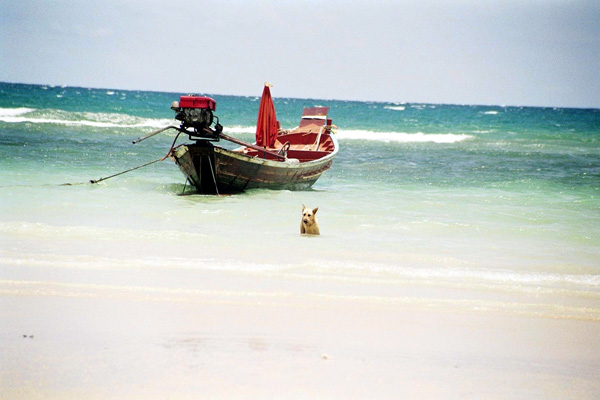 Koh Tao